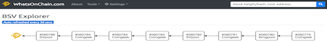 WhatsOnChain.com Explorer